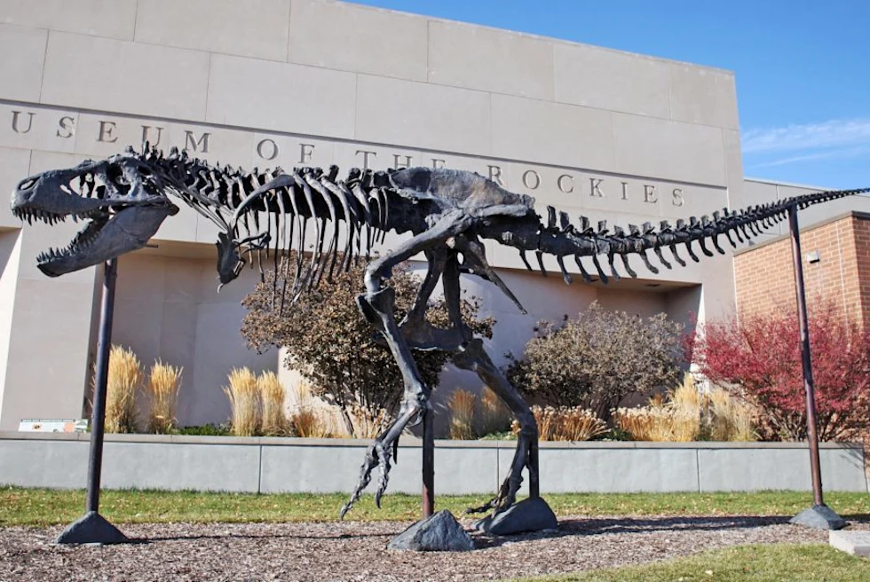 Museum of the Rockies is an enriching journey through natural history and cultural heritage, showcasing captivating exhibits in Bozeman, Montana.