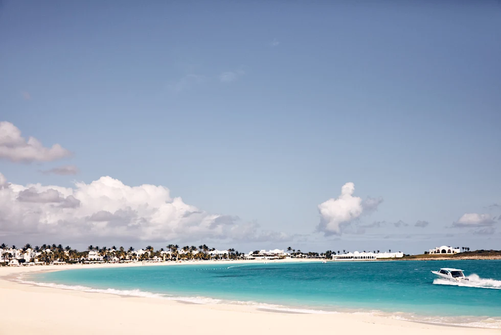 white sand beach with palm trees during daytime