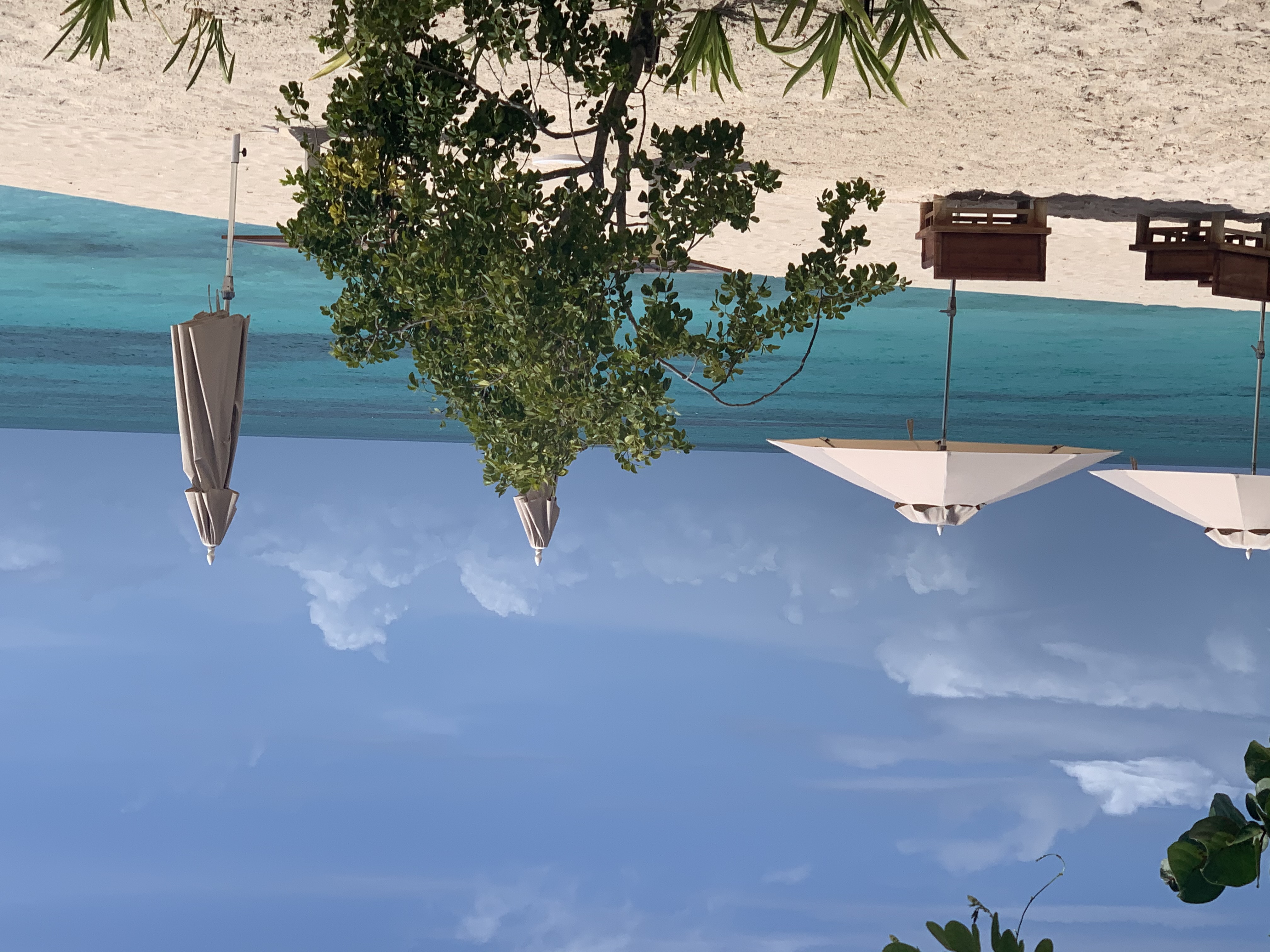 Karen-Turbidy-travel-1