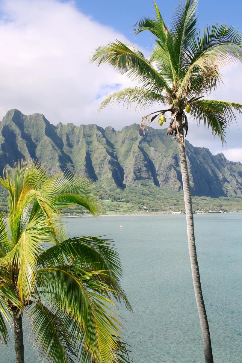 two palm trees in the foreground with blue sky, calm ocean, and lush mountains in the distance
