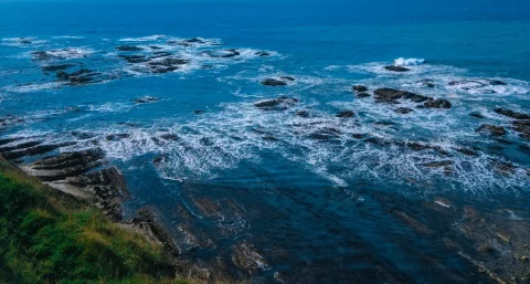 View of the rocky ocean in New Zealand