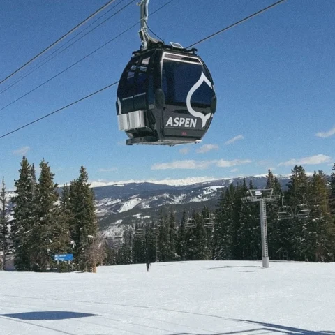 A gondola style ski lift above the snow, mountains, and frosted trees. 