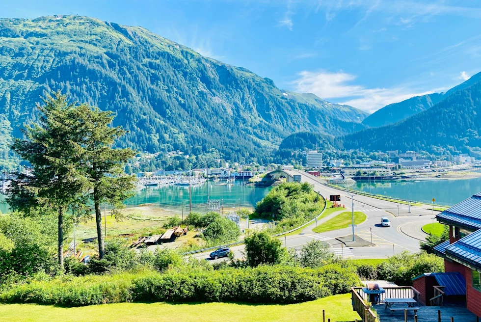 bright green foliage on a river town