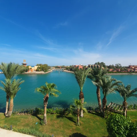 A view of palm trees, grass and blue water on a sunny day.