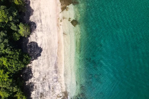 Aerial view of a beach.