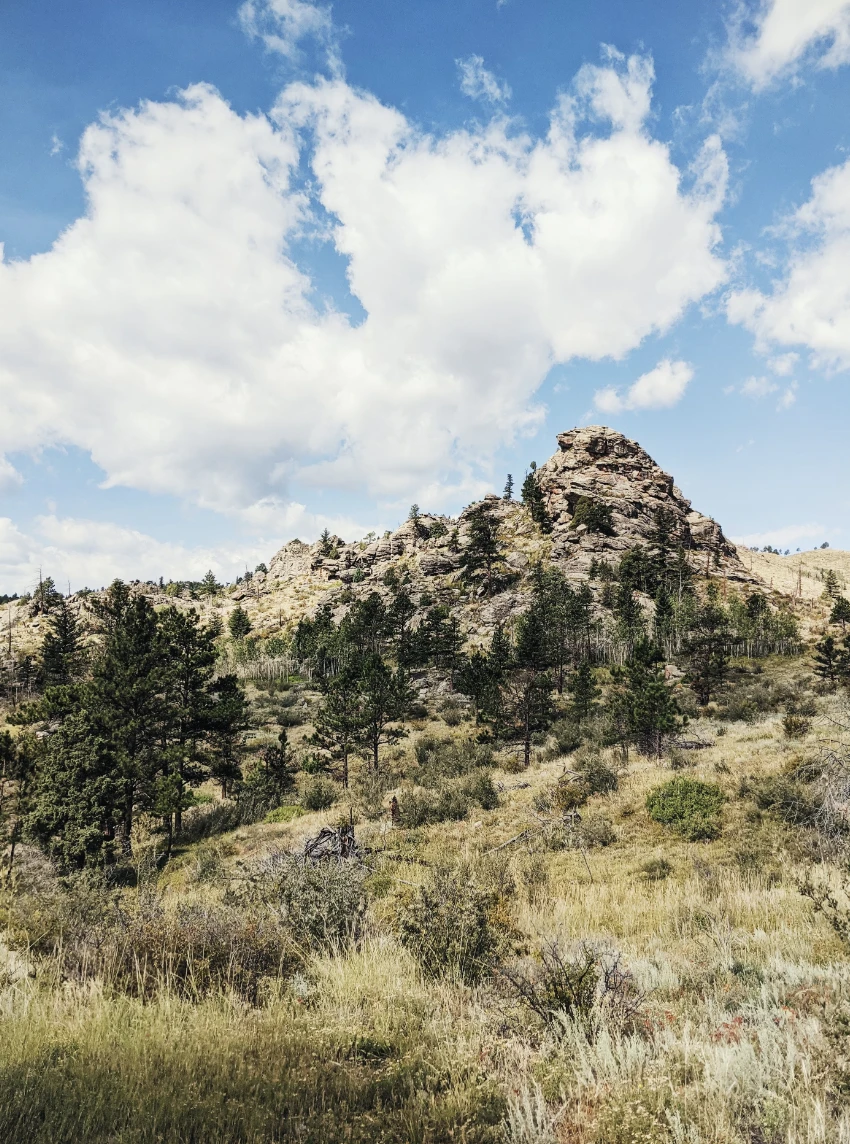 A view of a rocky mountain surrounded by wild grass and trees beneath a cloudy blue sky. 
