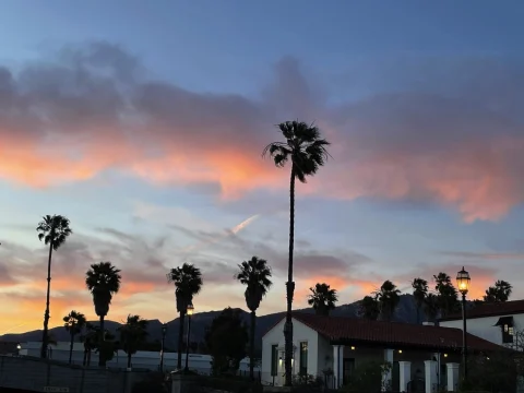 White houses and palm trees during sunset 