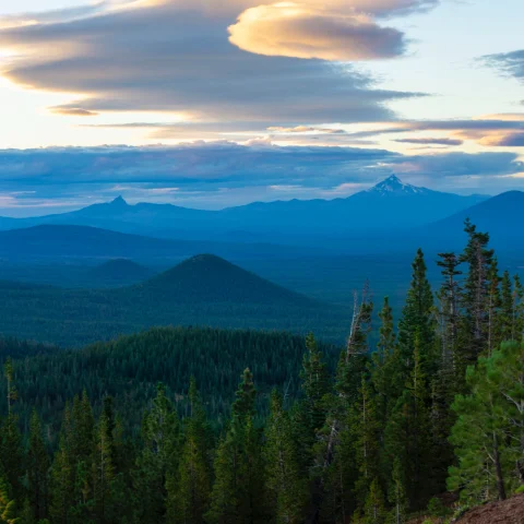 Green trees with blue mountains in the background with yellow and blue clouds in the sky