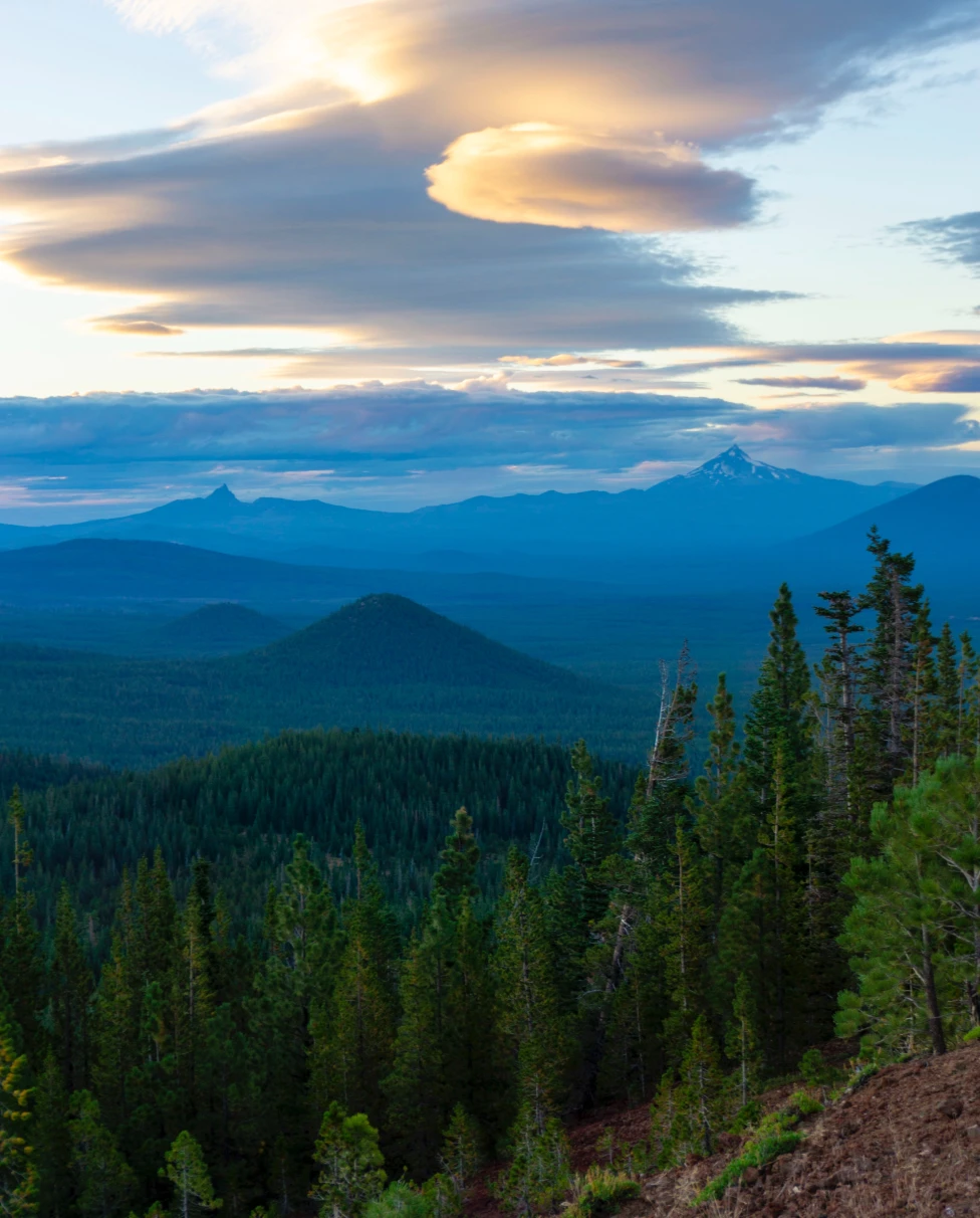 Green trees with blue mountains in the background with yellow and blue clouds in the sky