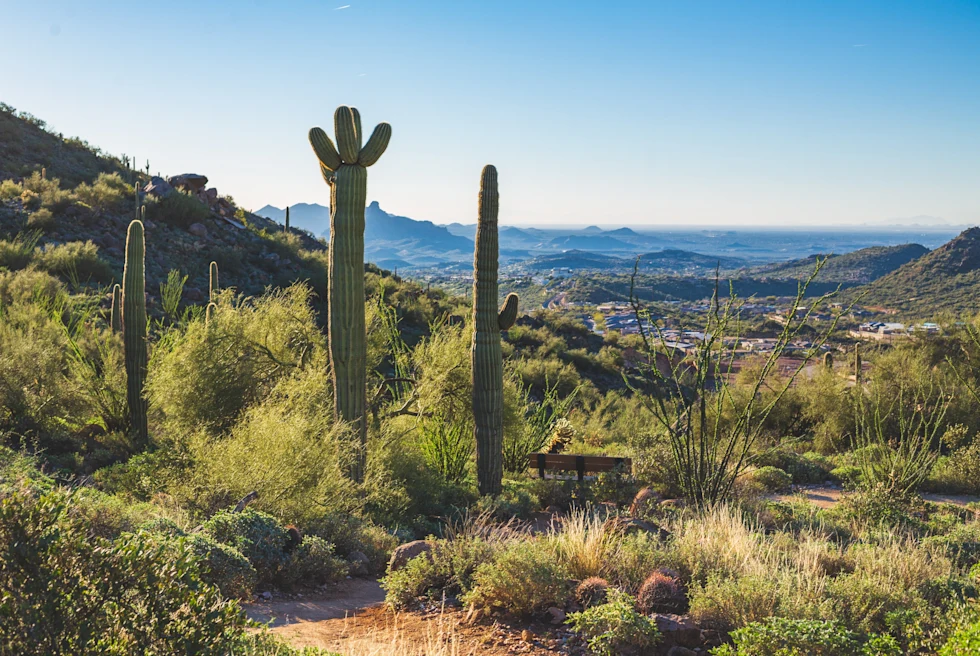 Mountains with cacti and desert views in Arizona.