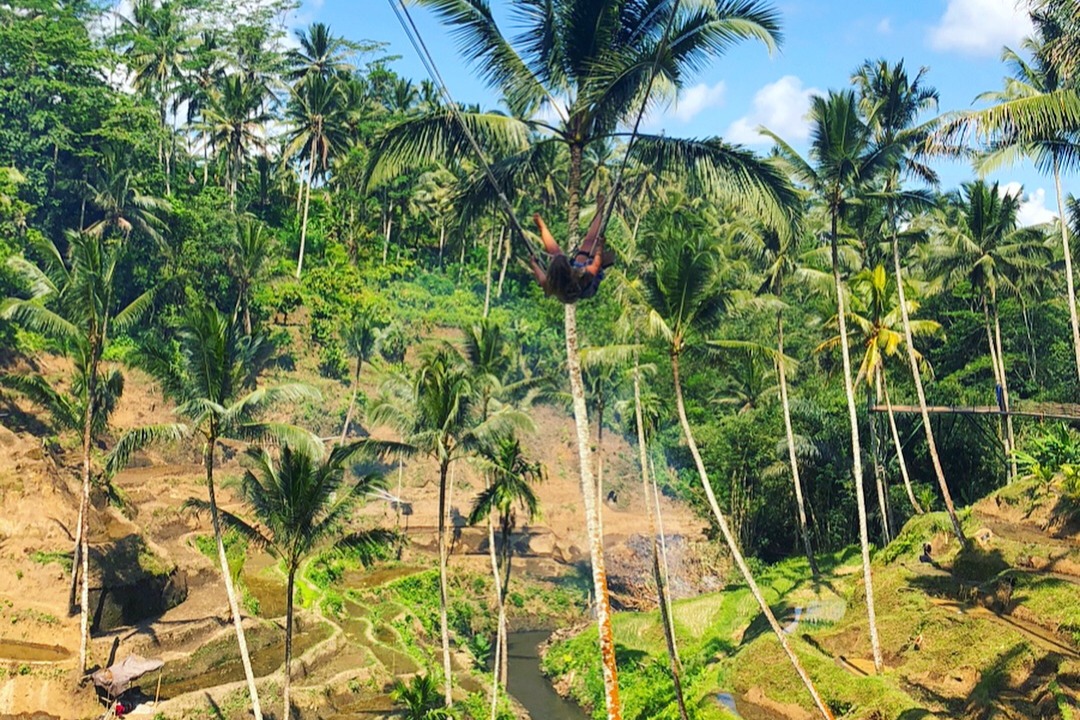 A person taking the long bali swing.