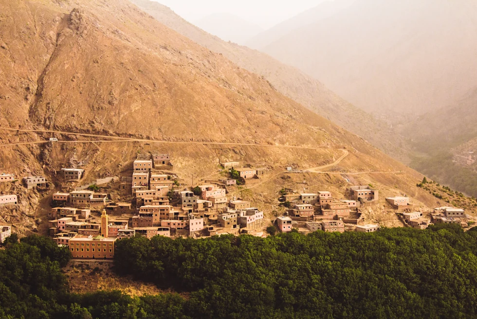 houses on a hillside during daytime