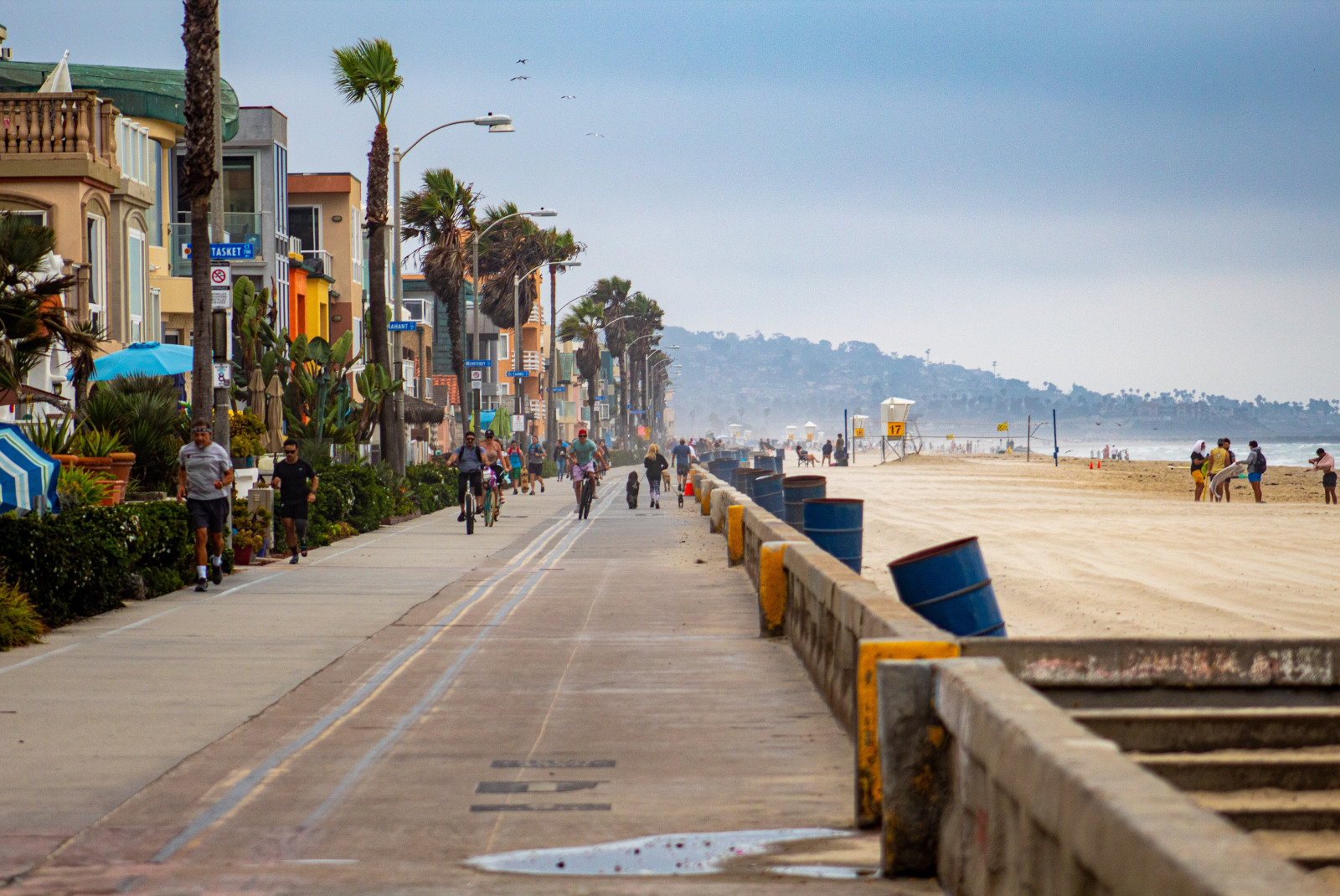 pathway lined with palm trees next to beach during daytime