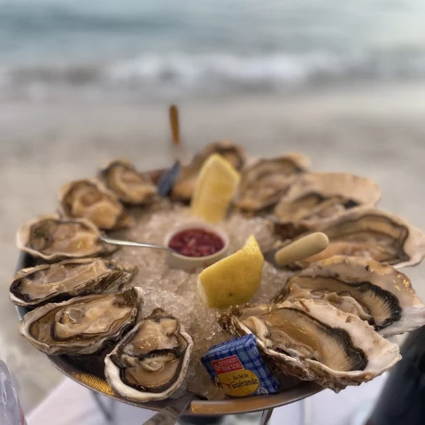 oysters on a ice