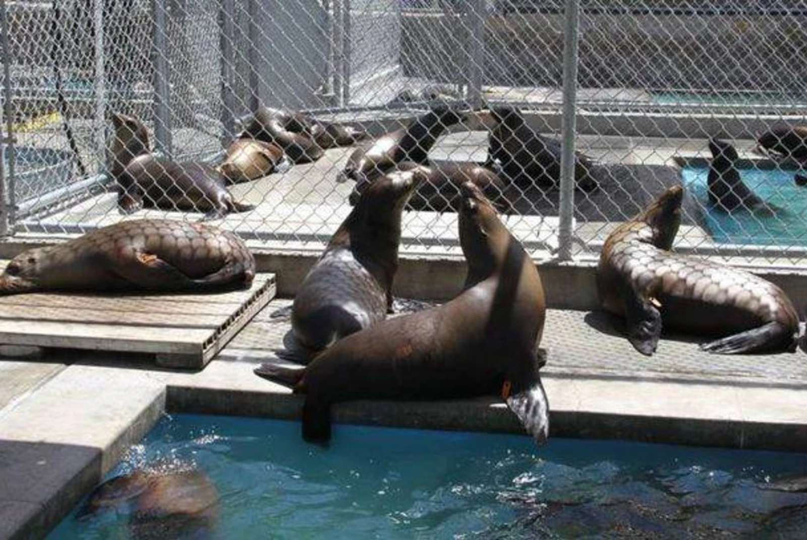 Pacific Marine Mammal Center is a rescue center for sea lions & seals, with pre-booked educational tours & a butterfly garden.