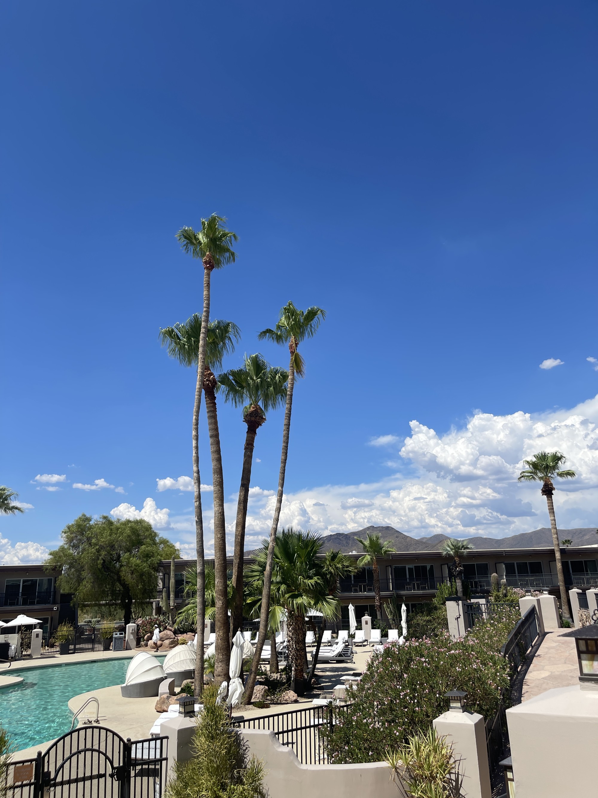 Civana Resort: The Ultimate Arizona Wellness Getaway