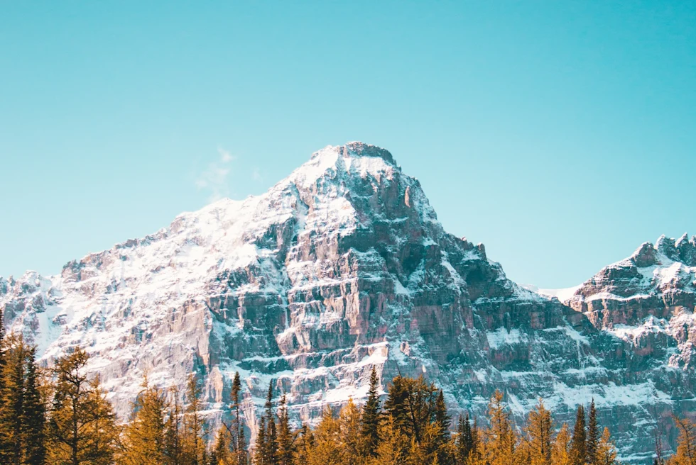 Snowy mountains in Canada and trees.