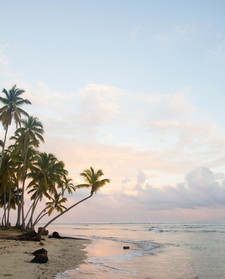 Tall palm trees on the beach in Dominican Republic with pink and white clouds in the sky