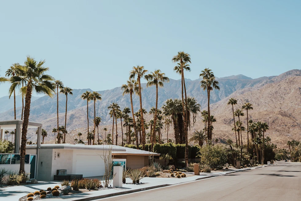 street lined with houses and palm trees