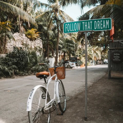 A bike parked under a street sign with palm trees in the background.