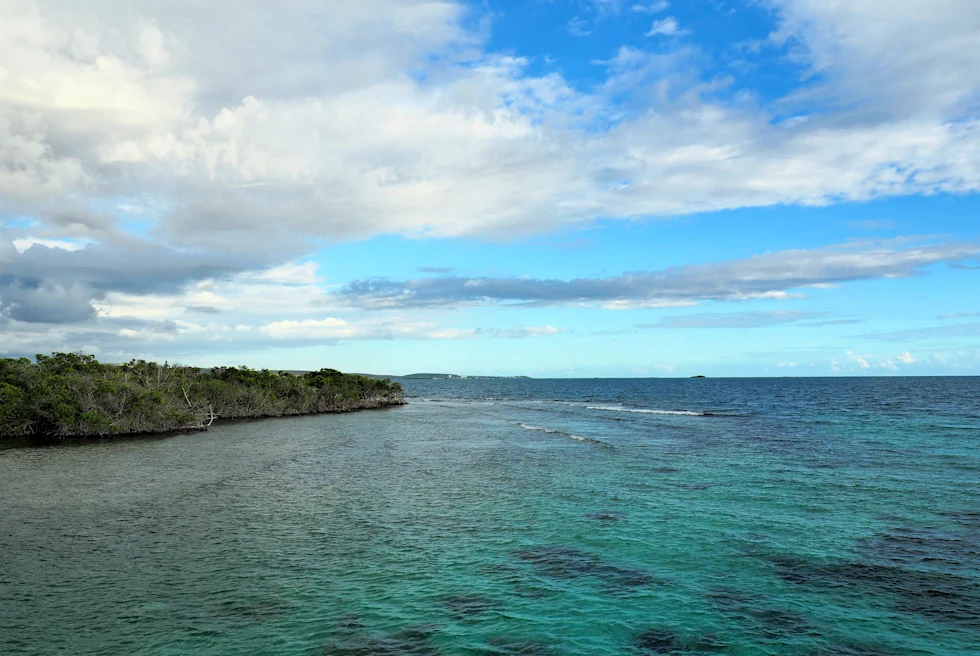 Body of water during daytime