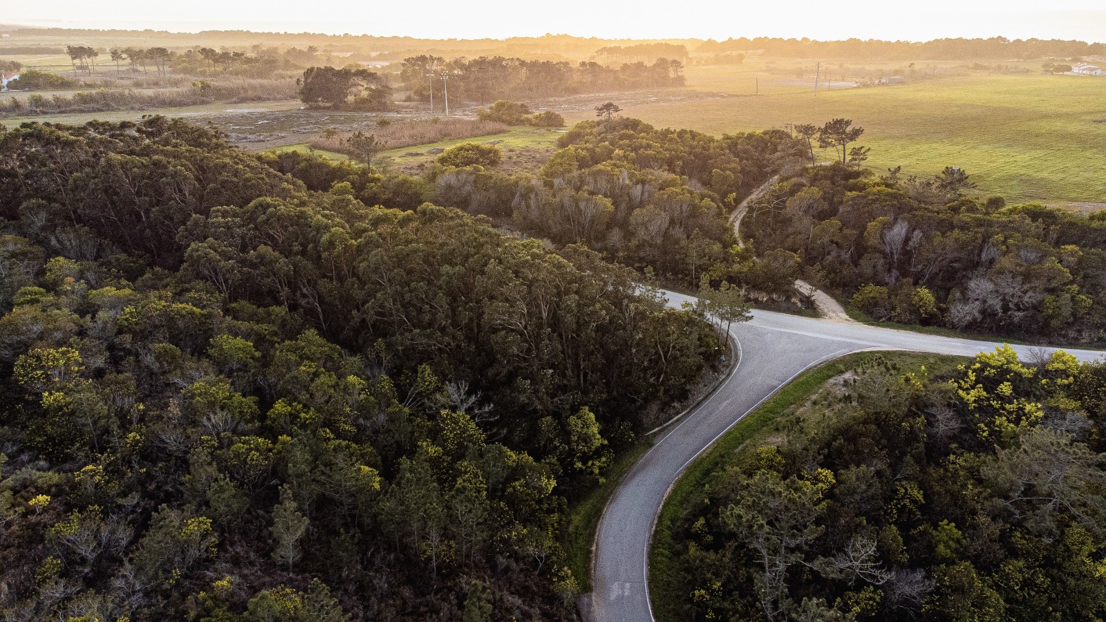 aerial view of road and trees during sunset