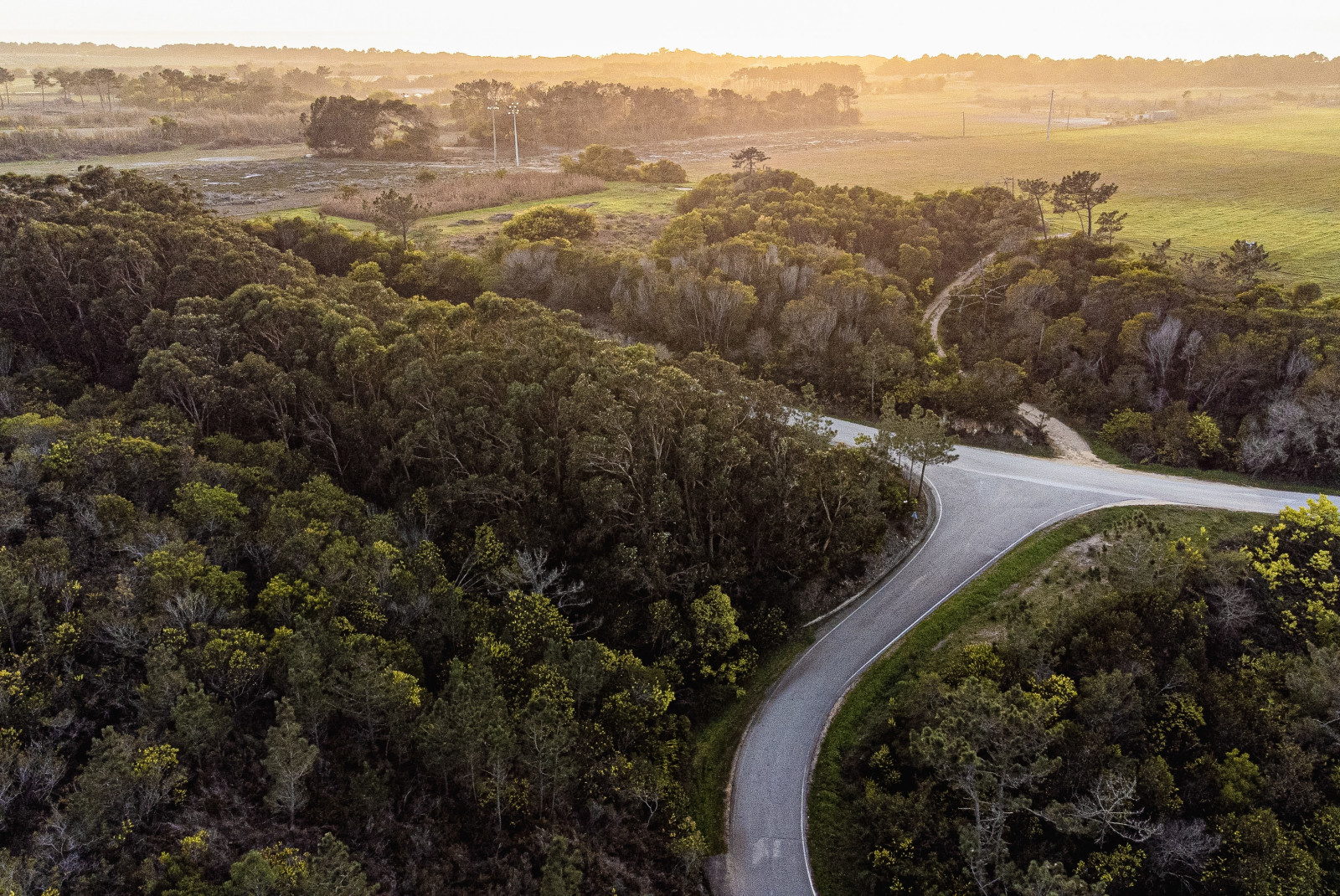 aerial view of road and trees during sunset