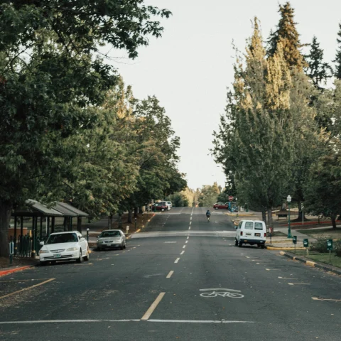 A neighborhood road with parked cars and large trees. 