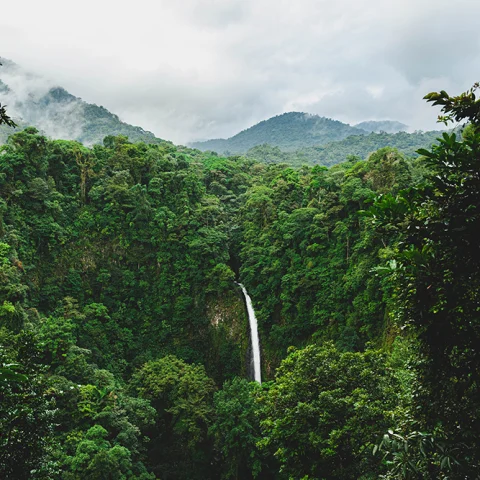 A Nature-Lover’s Week in Costa Rica curated by Fora