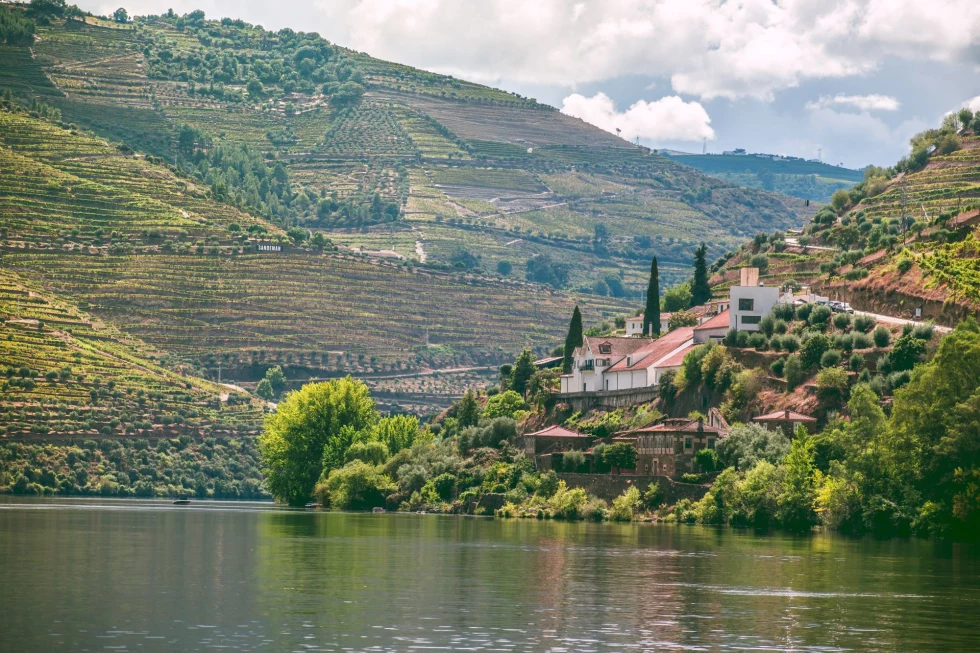 lush wine vineyards, a lake and a grand house on a hillside