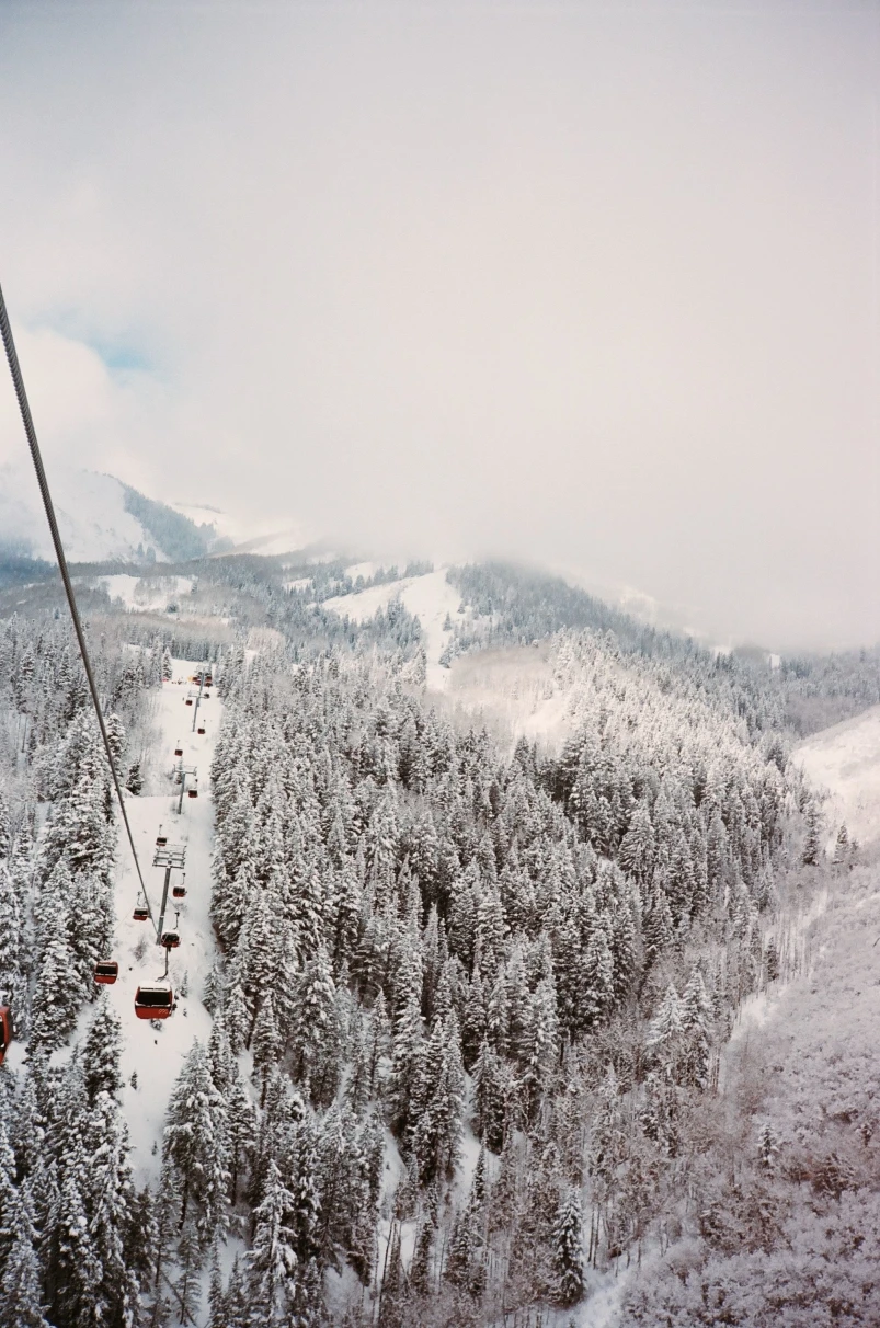 gondolas fly over a ski mountain in winter