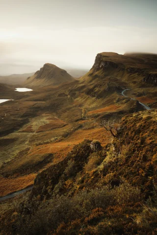 Green and yellow rugged landscape in Scotland on a cloudy day