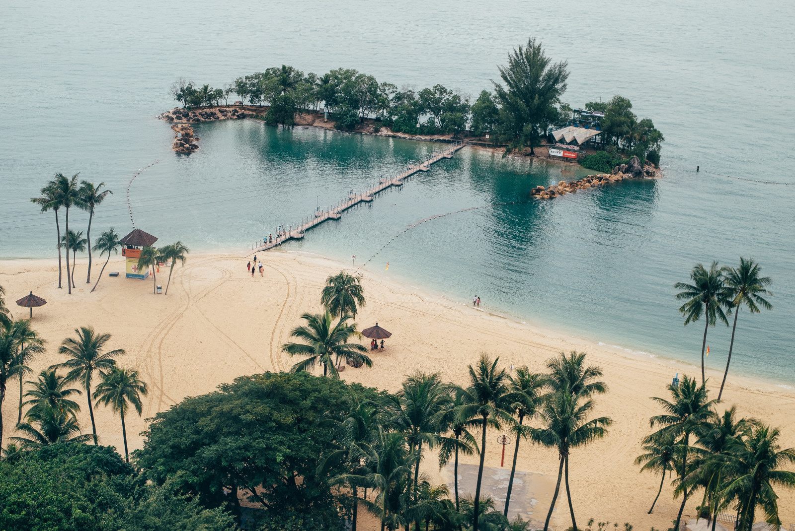 View of beach and ocean with palm trees during daytime