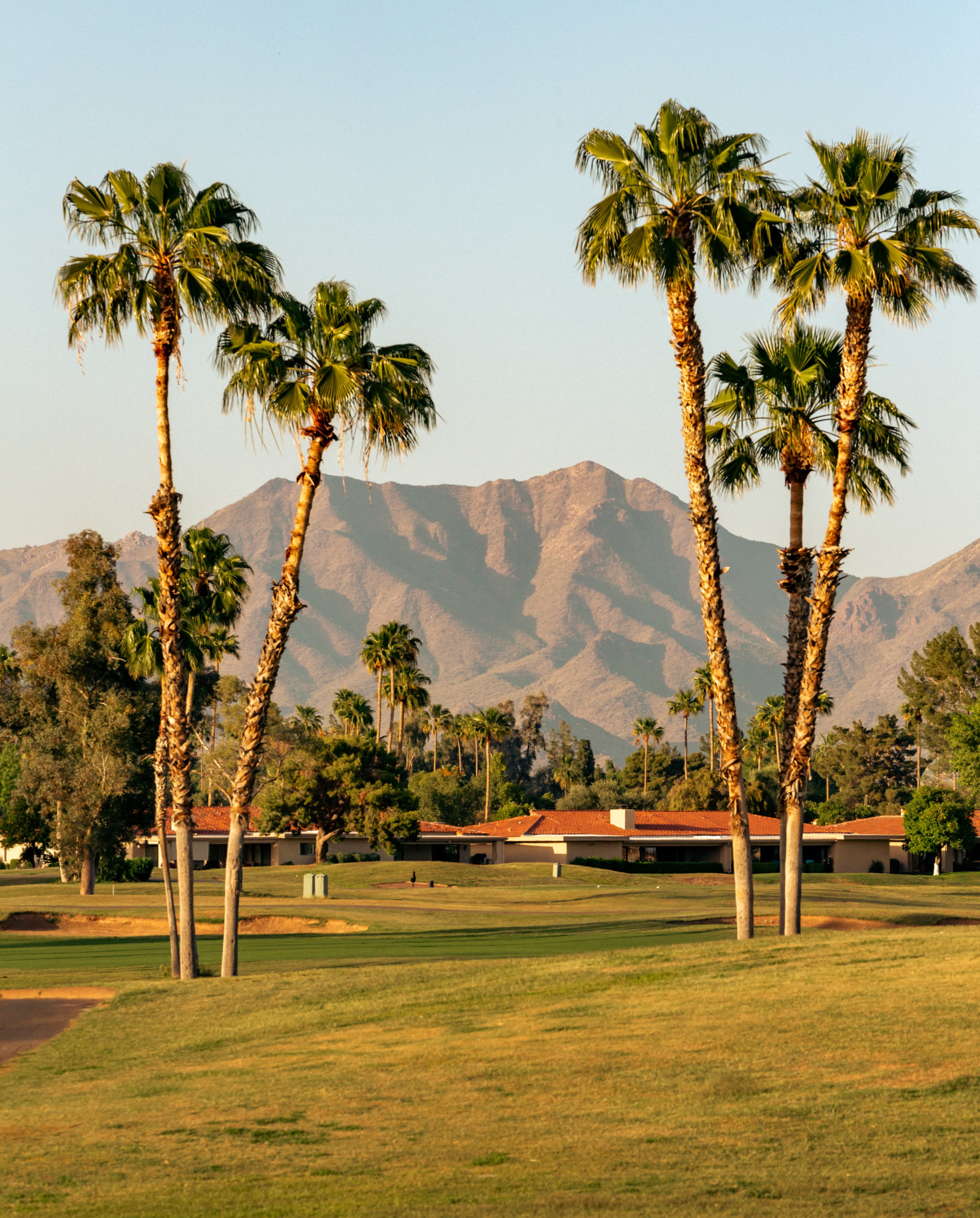 Golf course with palm trees with mountains in the background on a sunny day