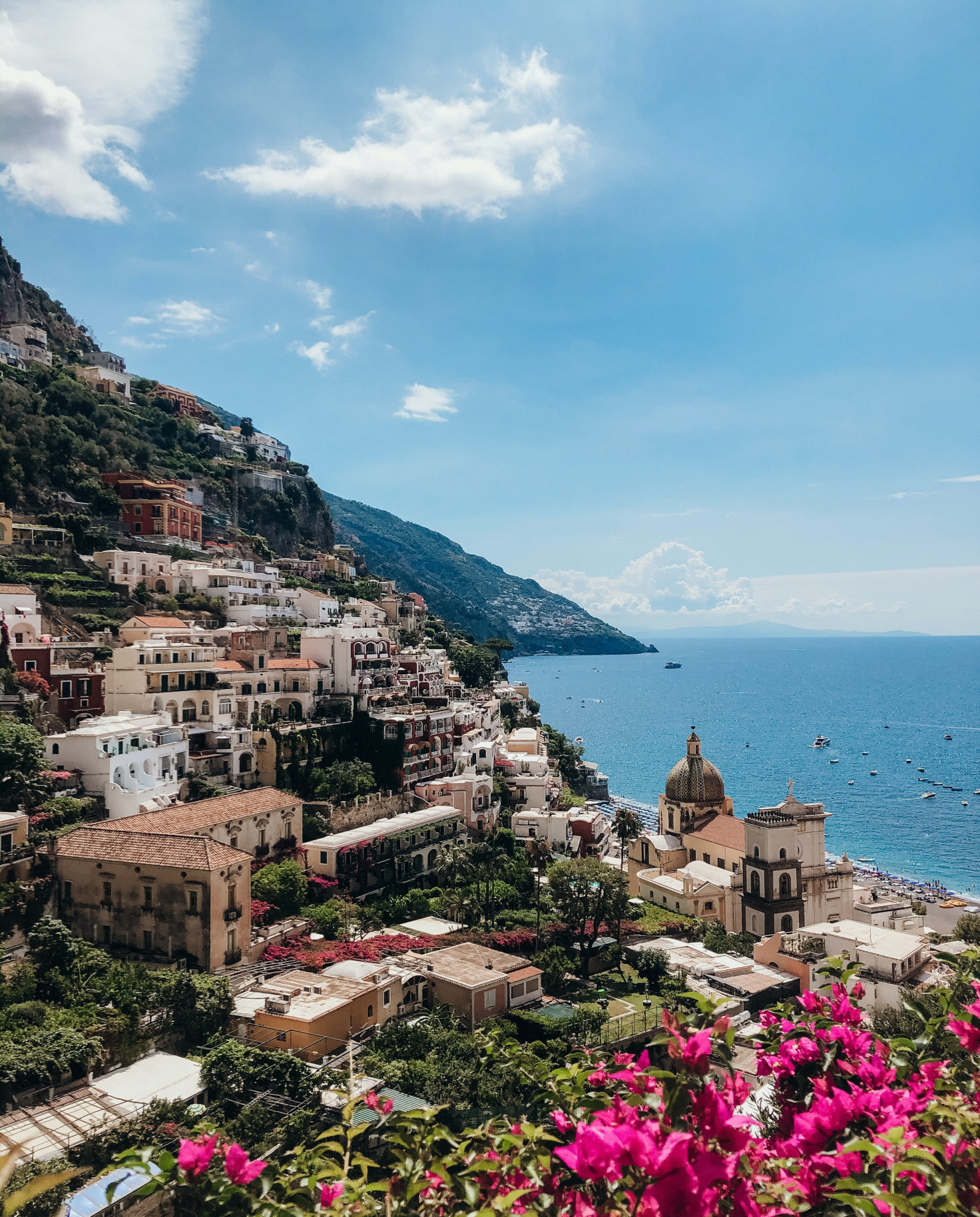 Pink flowers with buildings on mountains with blue ocean on a sunny day