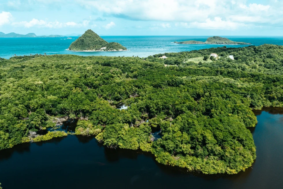 lush jungle island in a deep-blue ocean