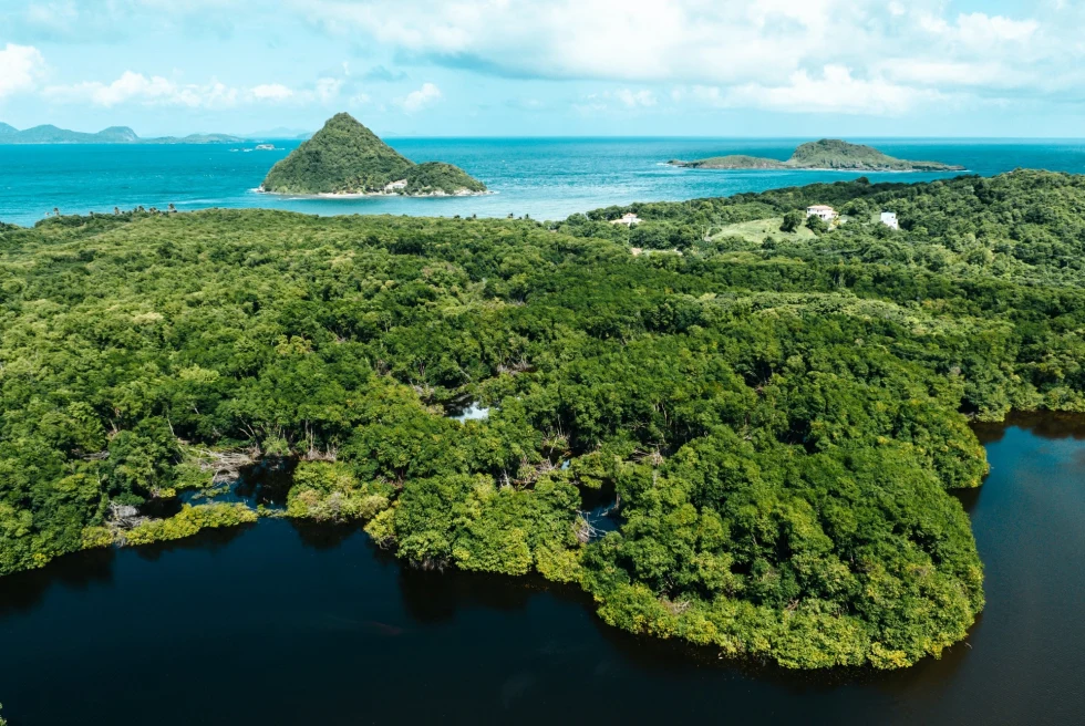 lush jungle island in a deep-blue ocean