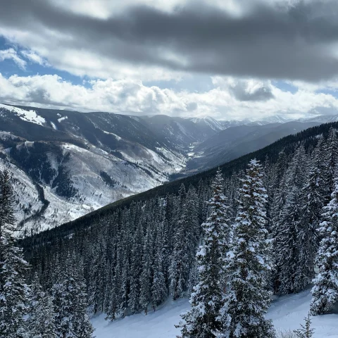 Snow-covered mountains and evergreen trees in Aspen in March.