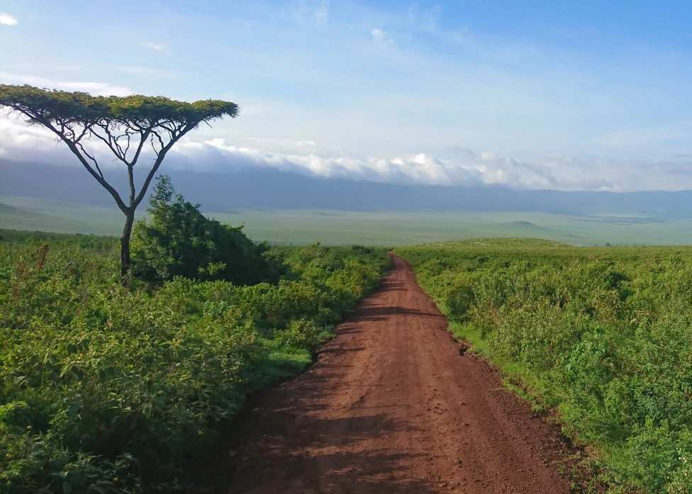 Trail in Tanzania 
