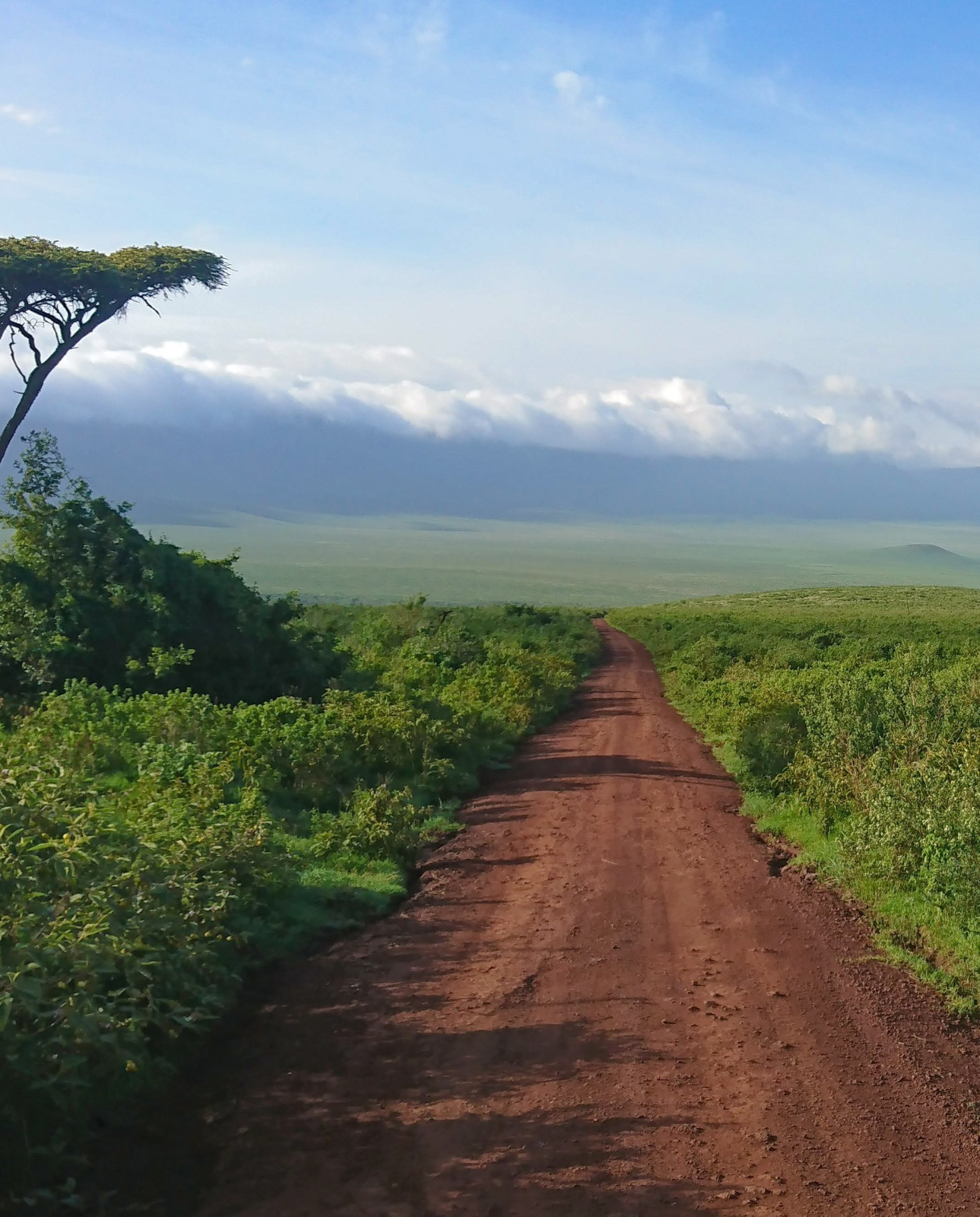 Trail in Tanzania 