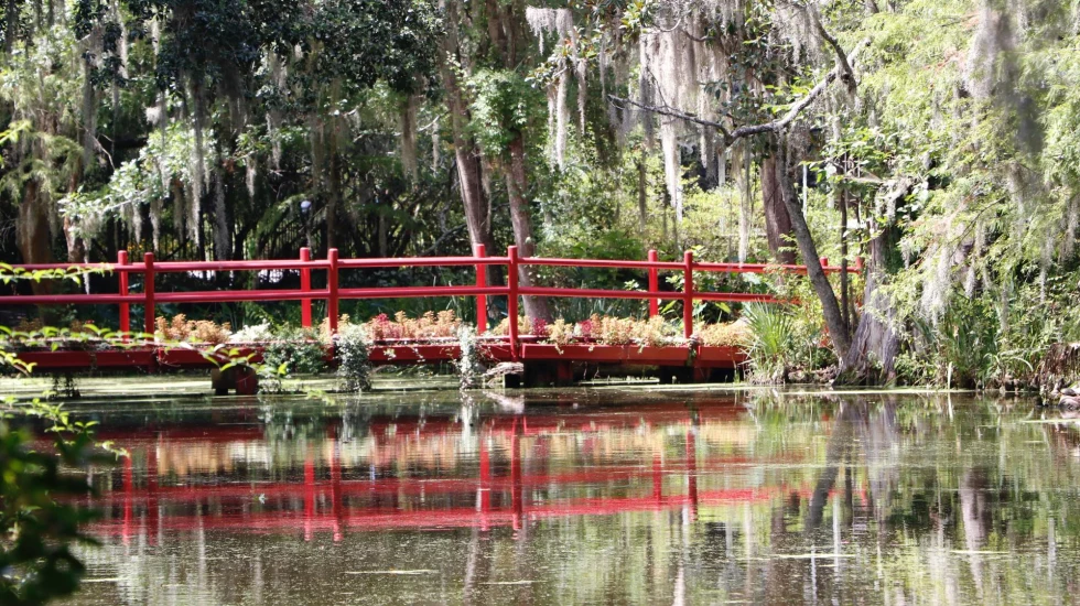 an overgrown garden with weeping willow trees and a red walking bridge over a calm pond