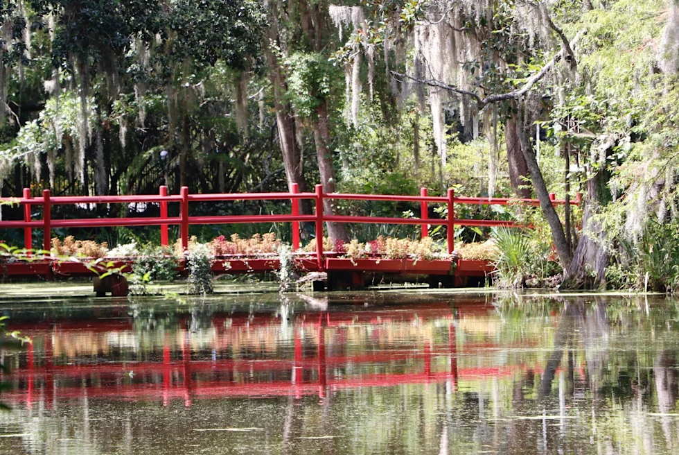 an overgrown garden with weeping willow trees and a red walking bridge over a calm pond
