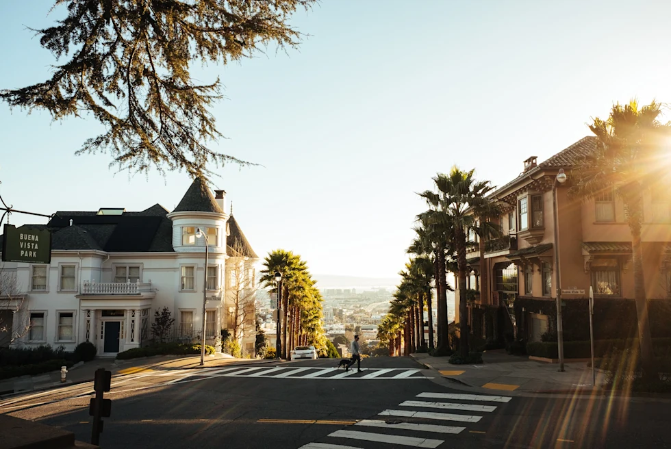 Tree lined street during sunset