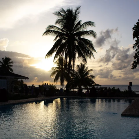 pool and palm trees during sunset on a tropical beach