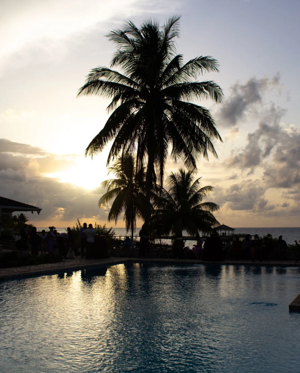pool and palm trees during sunset on a tropical beach