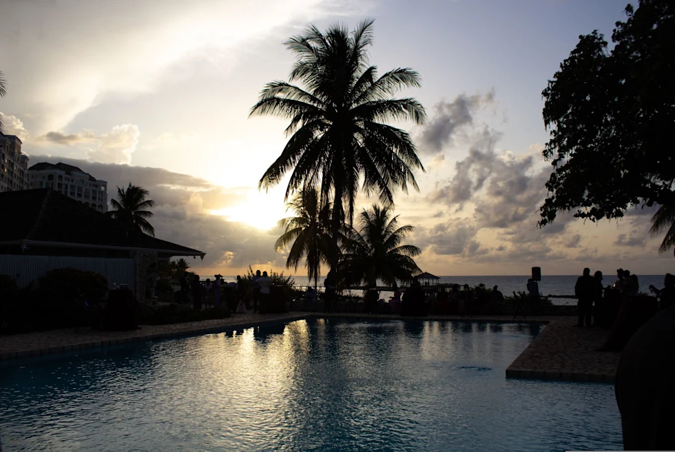 pool and palm trees during sunset on a tropical beach