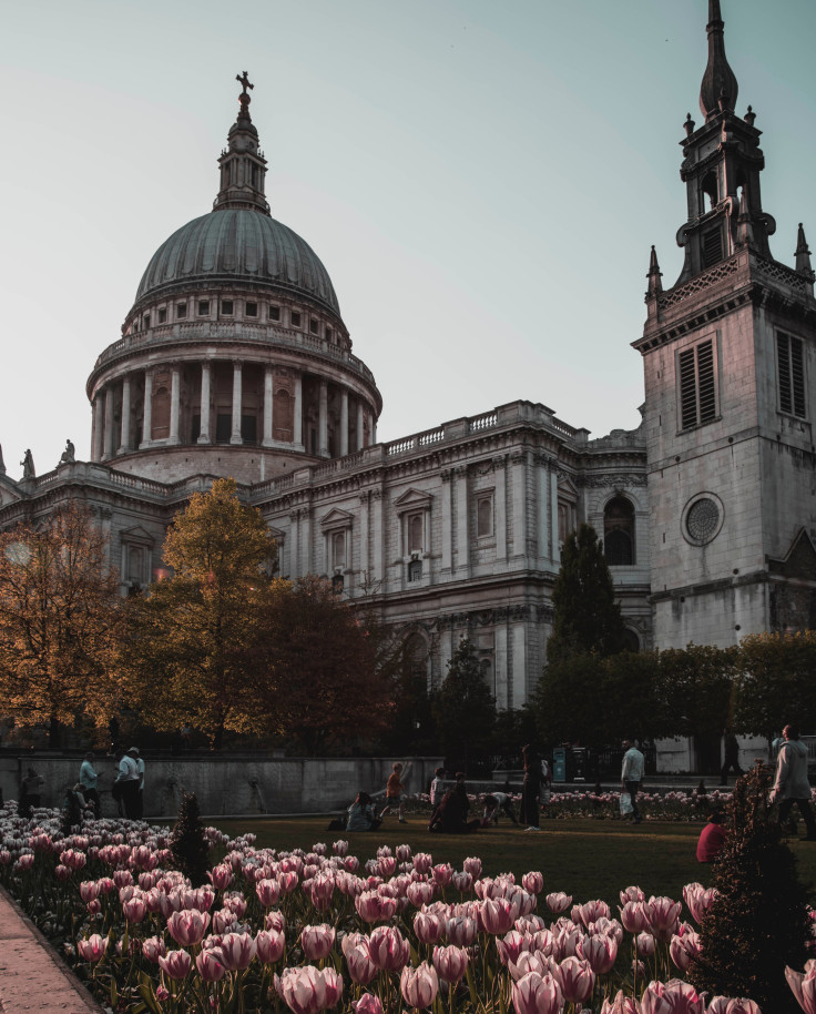 pink flowers next to domed building