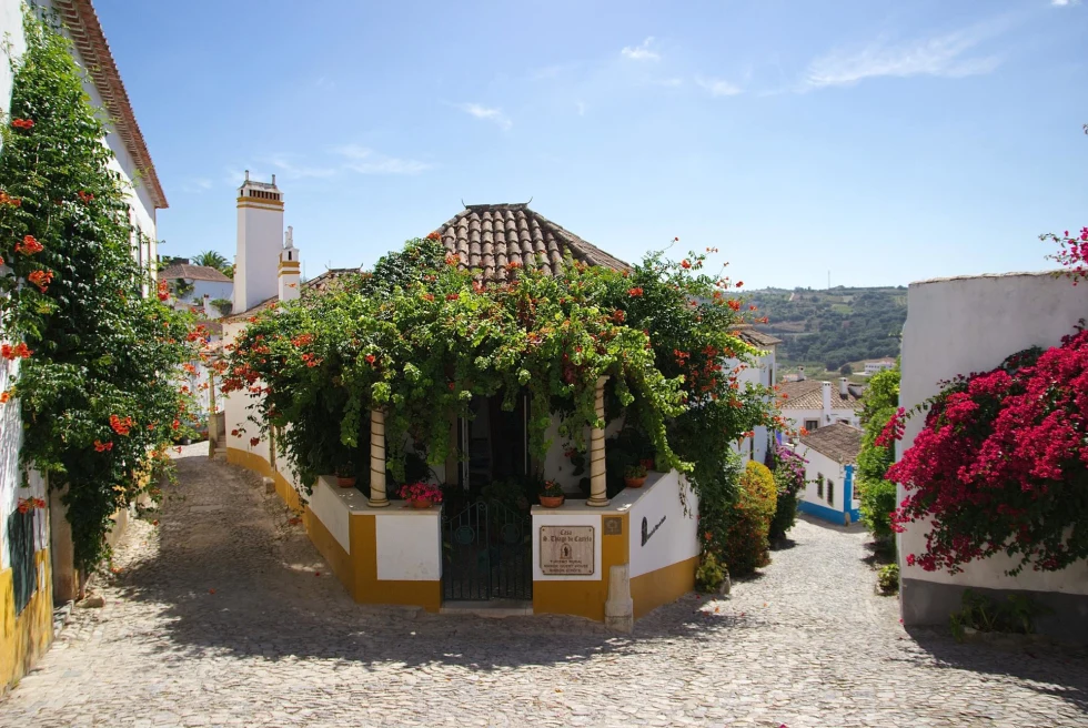 the top of medieval town with a small flower covered home and cobble stone hilly streets below