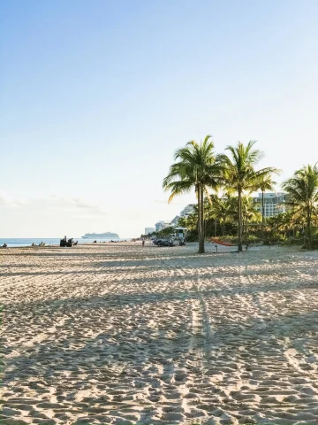 a sandy beach covered in footsteps with palm trees and a cruise ship in the distance