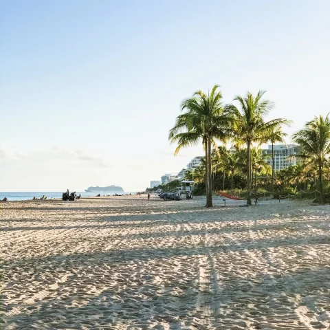 a sandy beach covered in footsteps with palm trees and a cruise ship in the distance